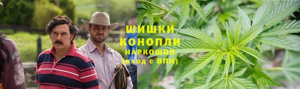 индика Нефтегорск