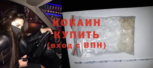 индика Нефтегорск