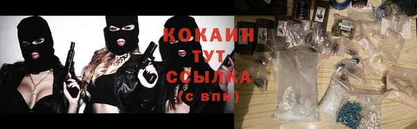 индика Нефтегорск