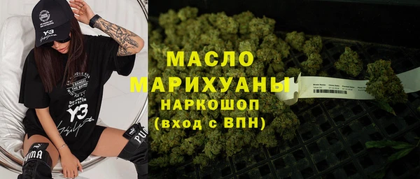 индика Нефтегорск